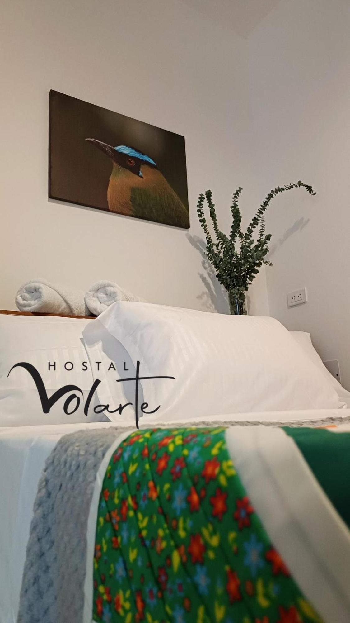 Volarte Hostal Jardin Exteriér fotografie