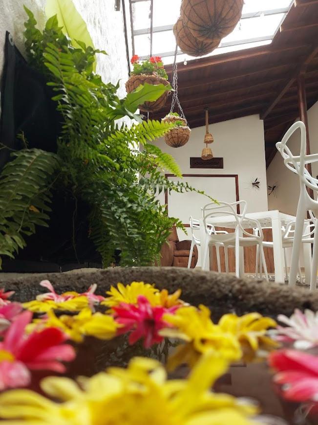 Volarte Hostal Jardin Exteriér fotografie